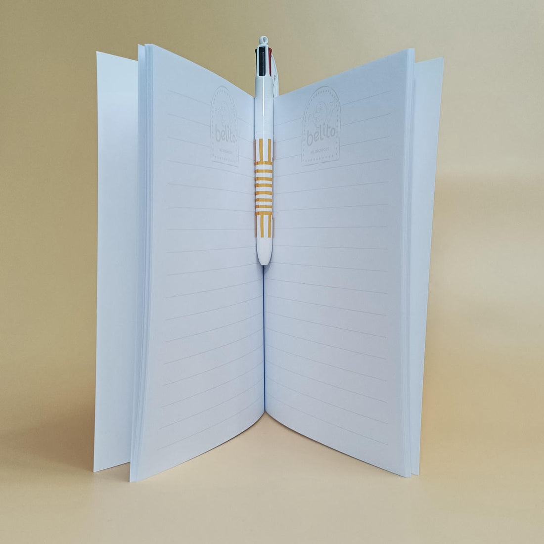 Carnet MS Vacances Trésor de Plage fermé avec Belito